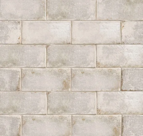 main sample image of Fossil Vivace