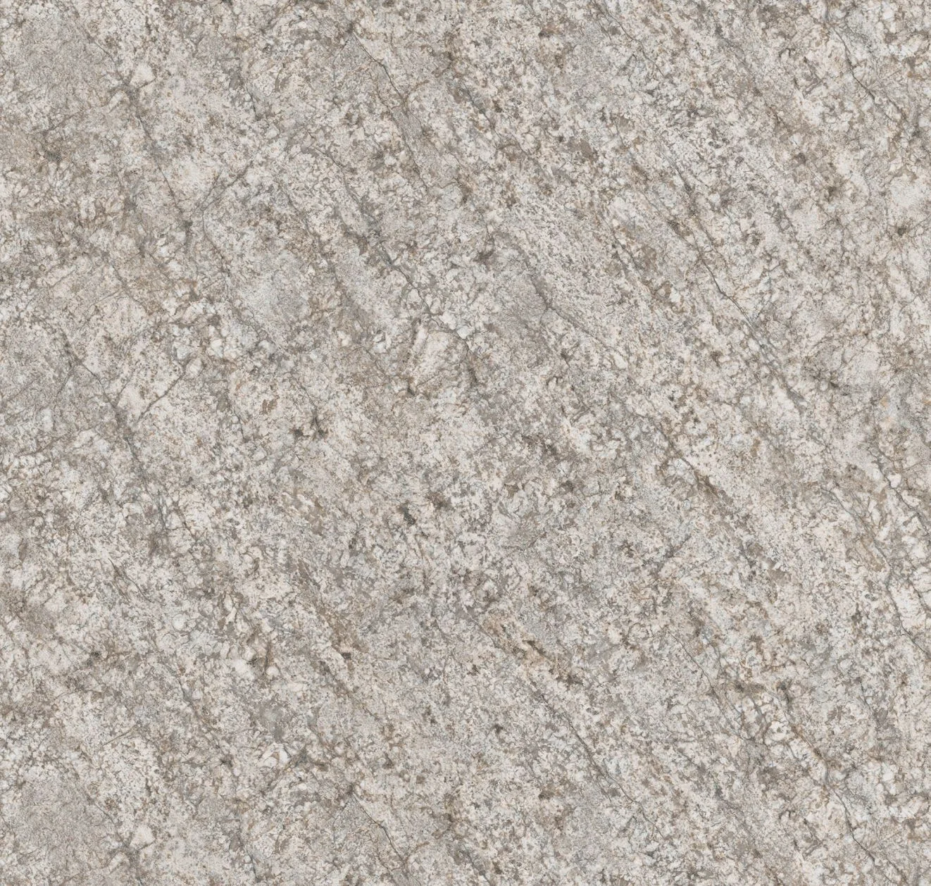 main sample image of Gray Bello Romano