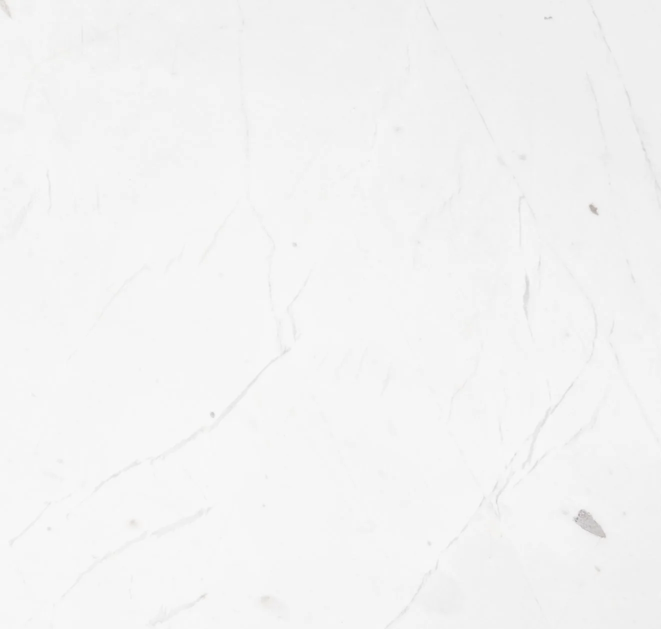 main sample image of White Winter White Marble Tile