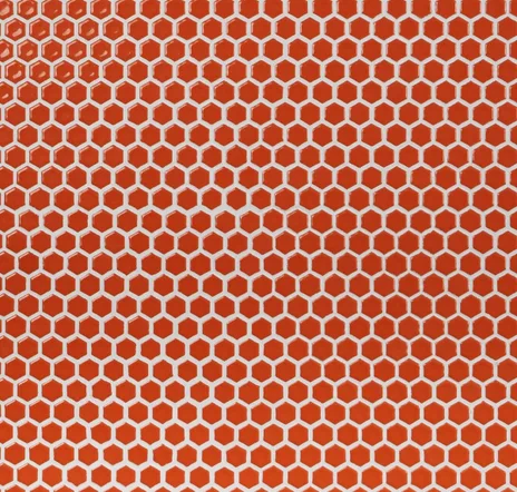 main sample image of Orange Nectar Eden 2.0 Rimmed Hexagon
