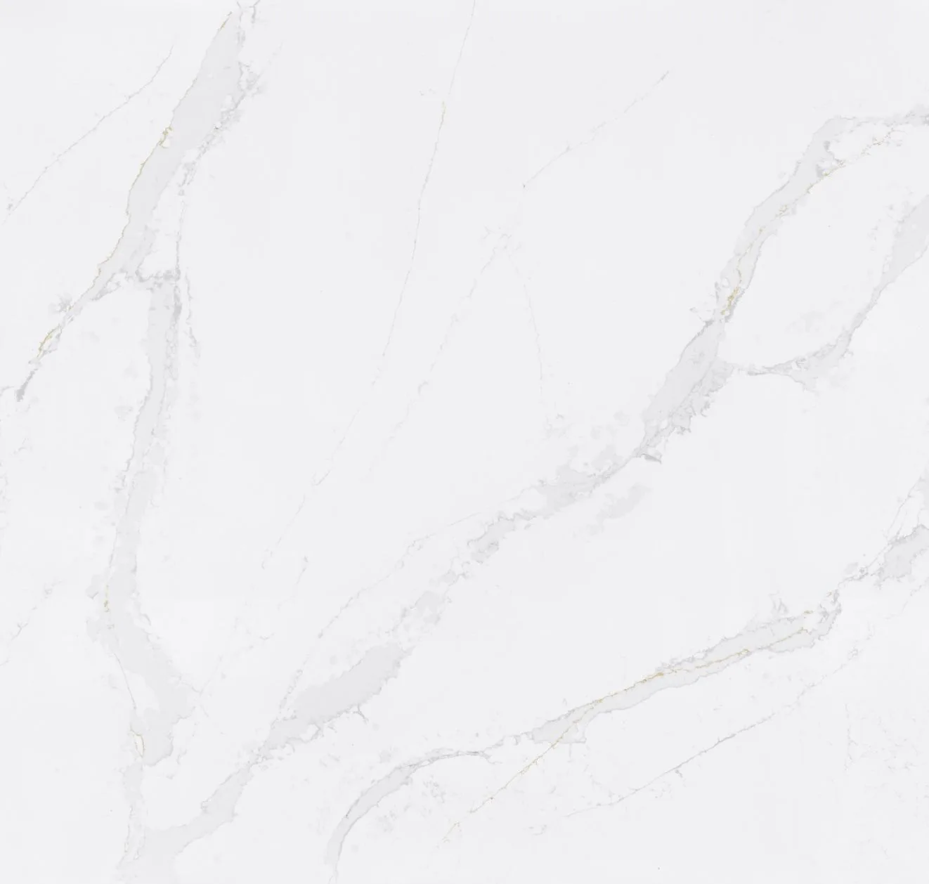main sample image of White Silestone Eternal Calacatta Gold
