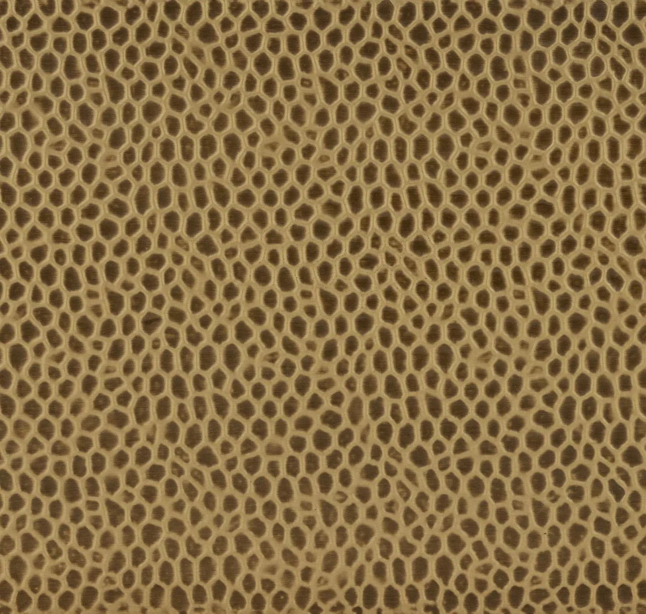 main sample image of Gold Martello Limestone Field Decorative