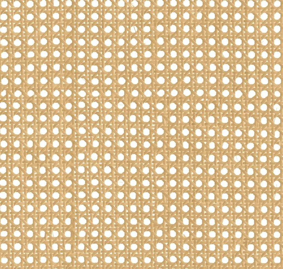 main sample image of Beige Raffias+ 9800003