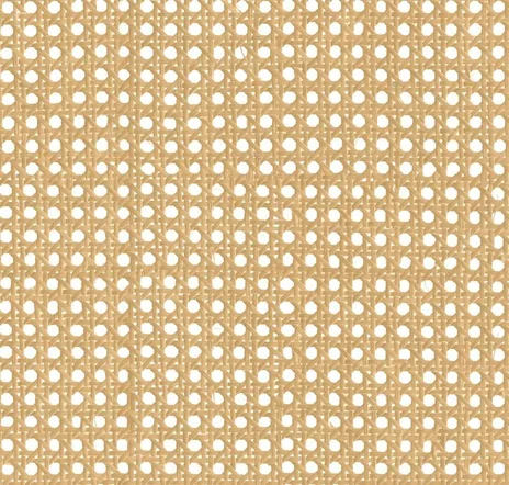 main sample image of Beige Raffias+ 9800003