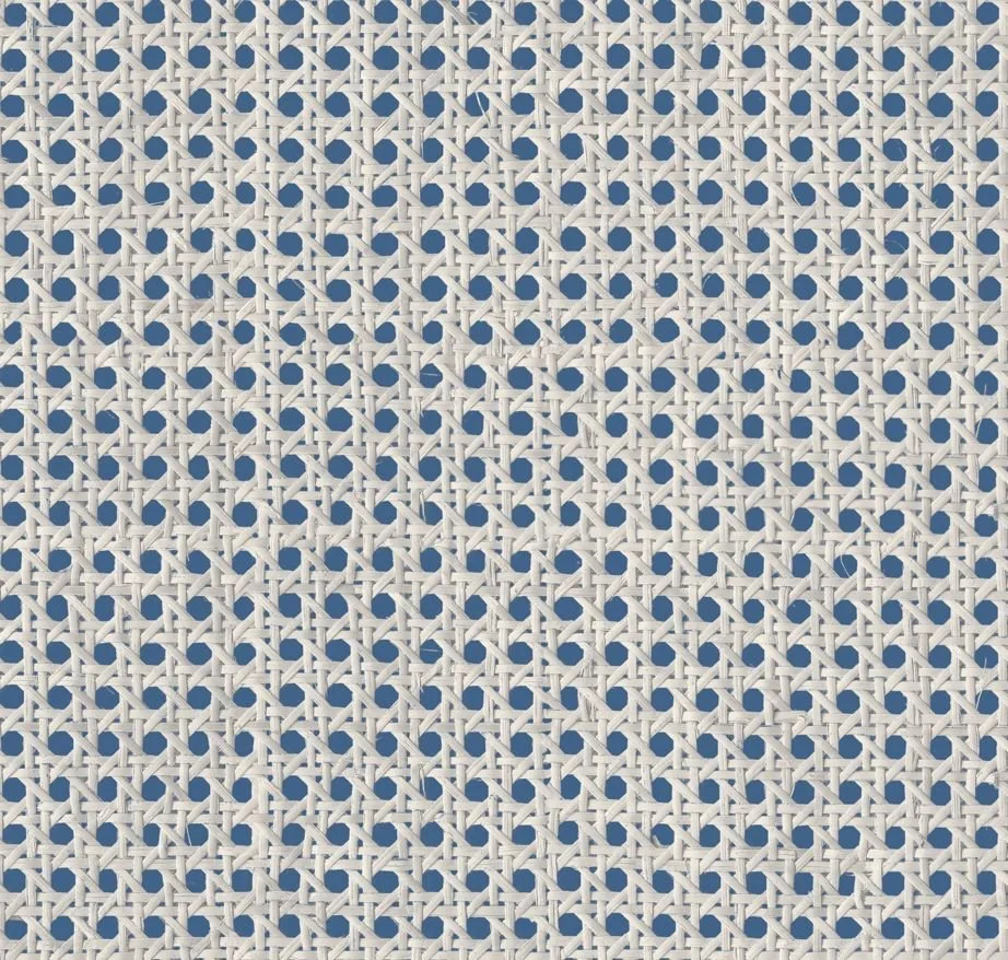 main sample image of Blue Raffias+ 9800008