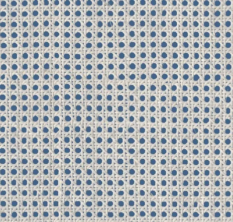 main sample image of Blue Raffias+ 9800008