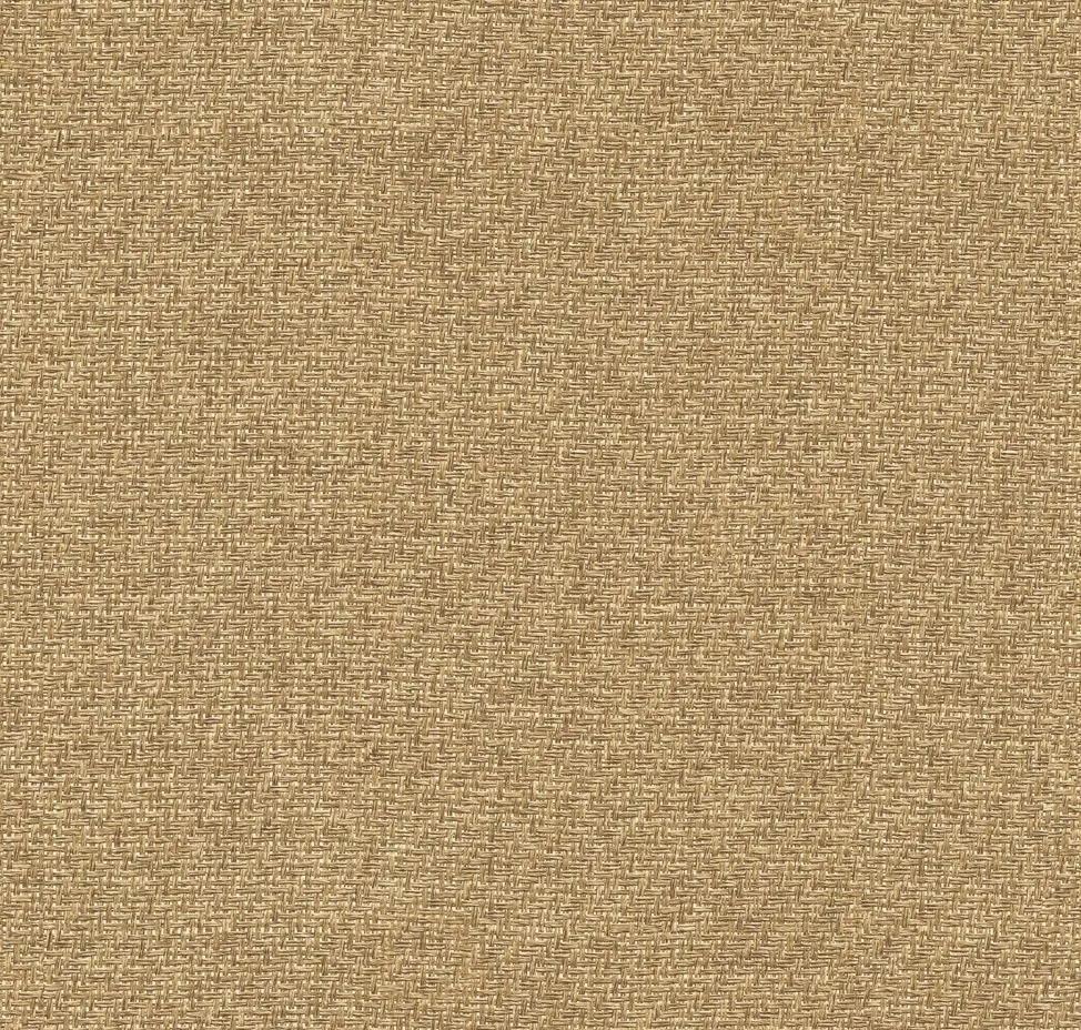 main sample image of Beige Raffias+ 9800026