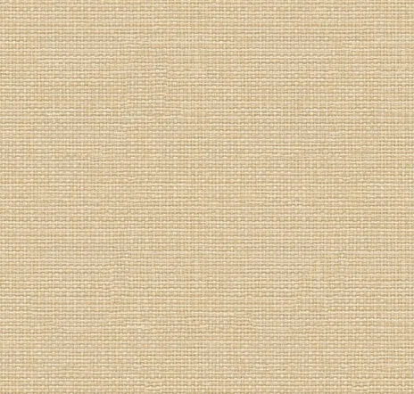 main sample image of Beige Raffias+ 9800061