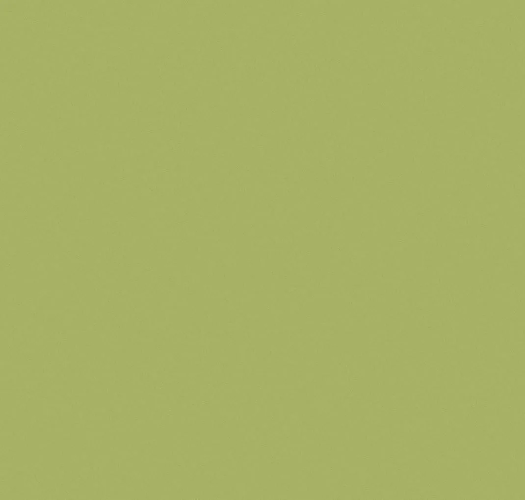main sample image of Green Tomatillo