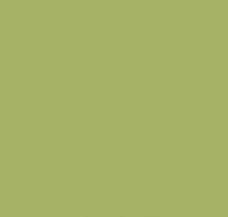 main sample image of Green Tomatillo
