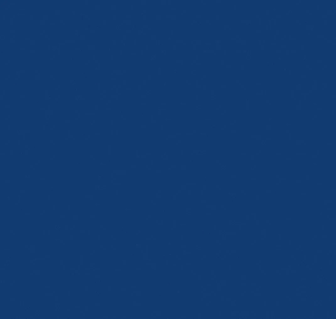 main sample image of Blue Admiral