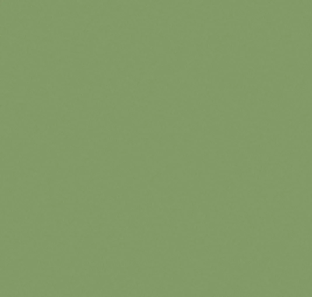 main sample image of Green Chutney