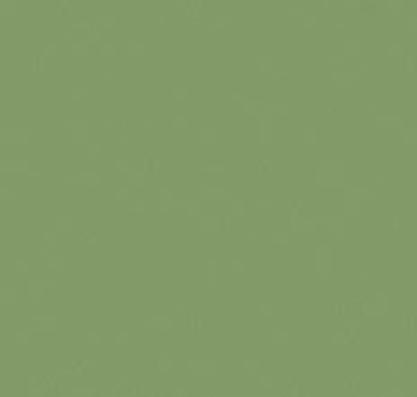 main sample image of Green Chutney