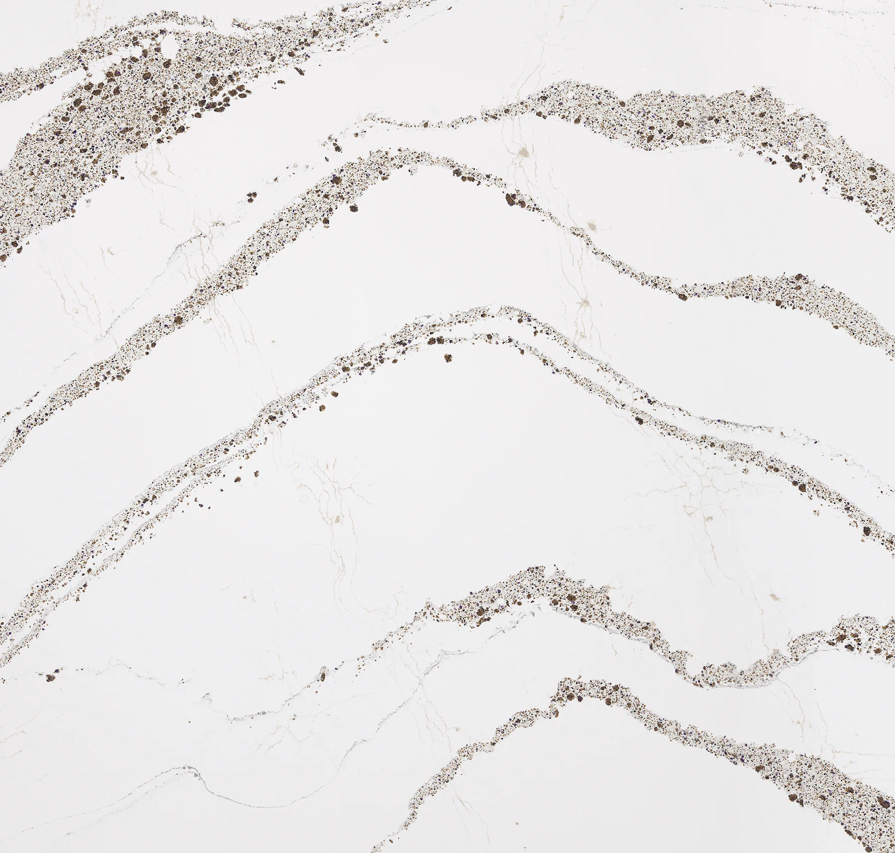 main sample image of White Annicca