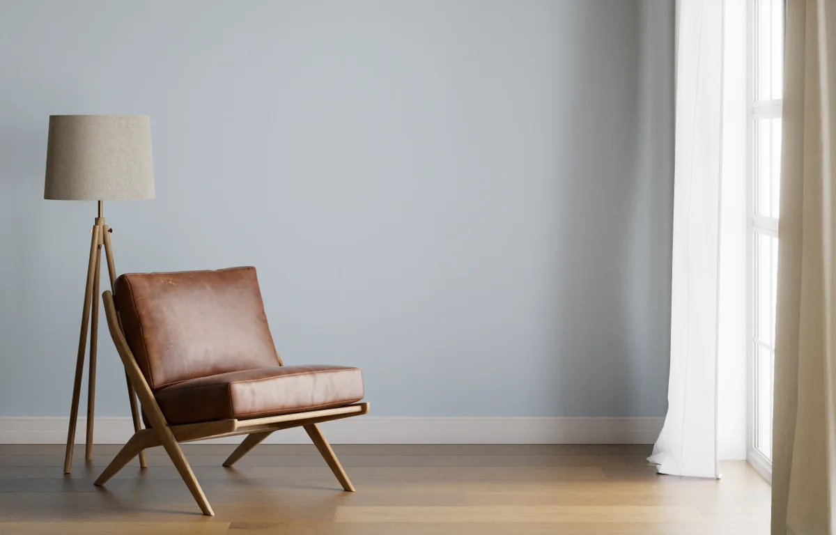 Cardboard | DesignShop