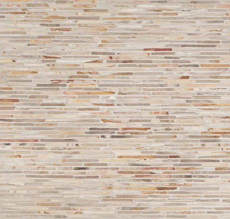 main sample image of Brown Fossil Cracked Joint Petrified Stone Mosaic