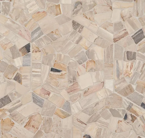 main sample image of Beige Fossil Hexagon Petrified Stone Mosaic