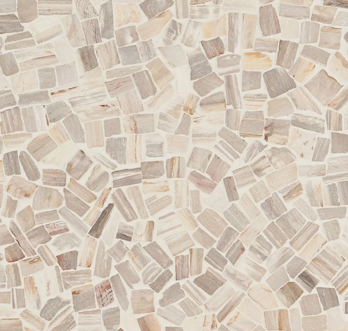 Fossil Tumbled Petrified Stone Mosaic