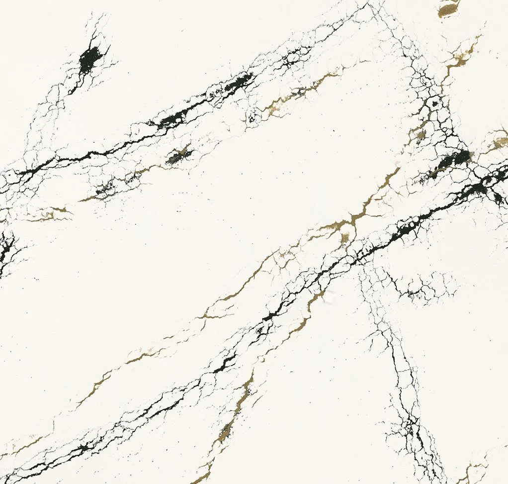 main sample image of Beige Oakleigh