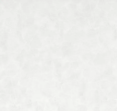 main sample image of White White Alabaster