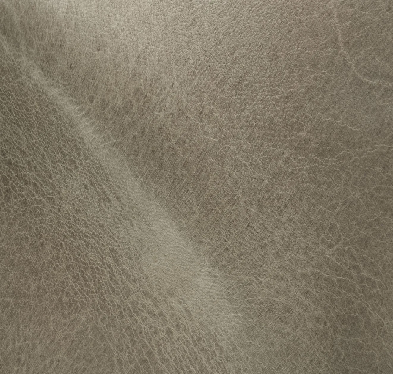 main sample image of Mink Ellis