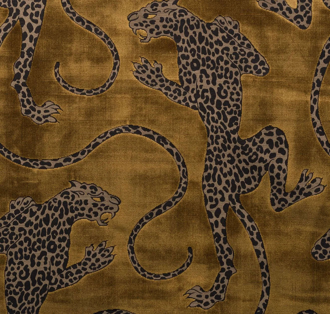 main sample image of Gold Panthera