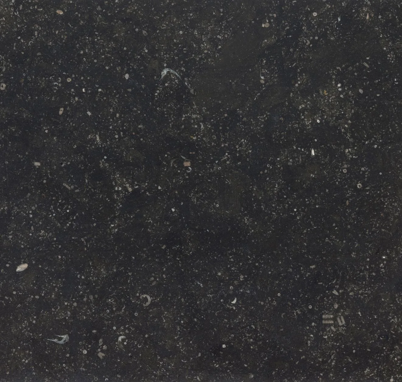 main sample image of Black Belgian Bluestone Limestone Field Tile