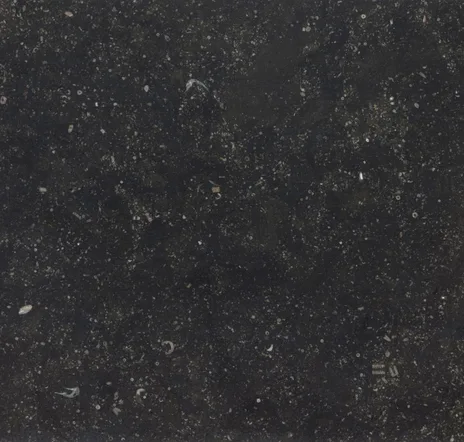 main sample image of Black Belgian Bluestone Limestone Field Tile