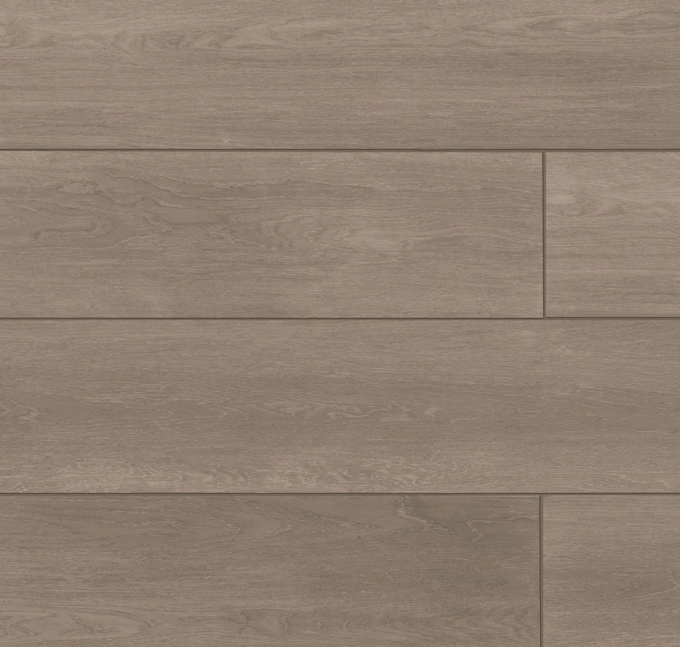 main sample image of Bark Planx