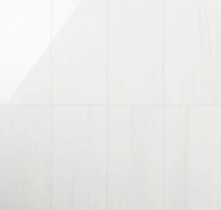 main sample image of White Bianco Dolomite Premium Marble Tile