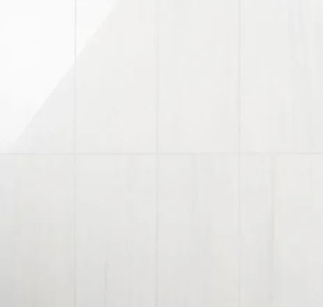 main sample image of White Bianco Dolomite Premium Marble Tile