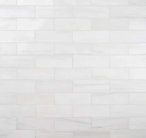 main sample image of White Bianco Dolomite Premium Marble Tile