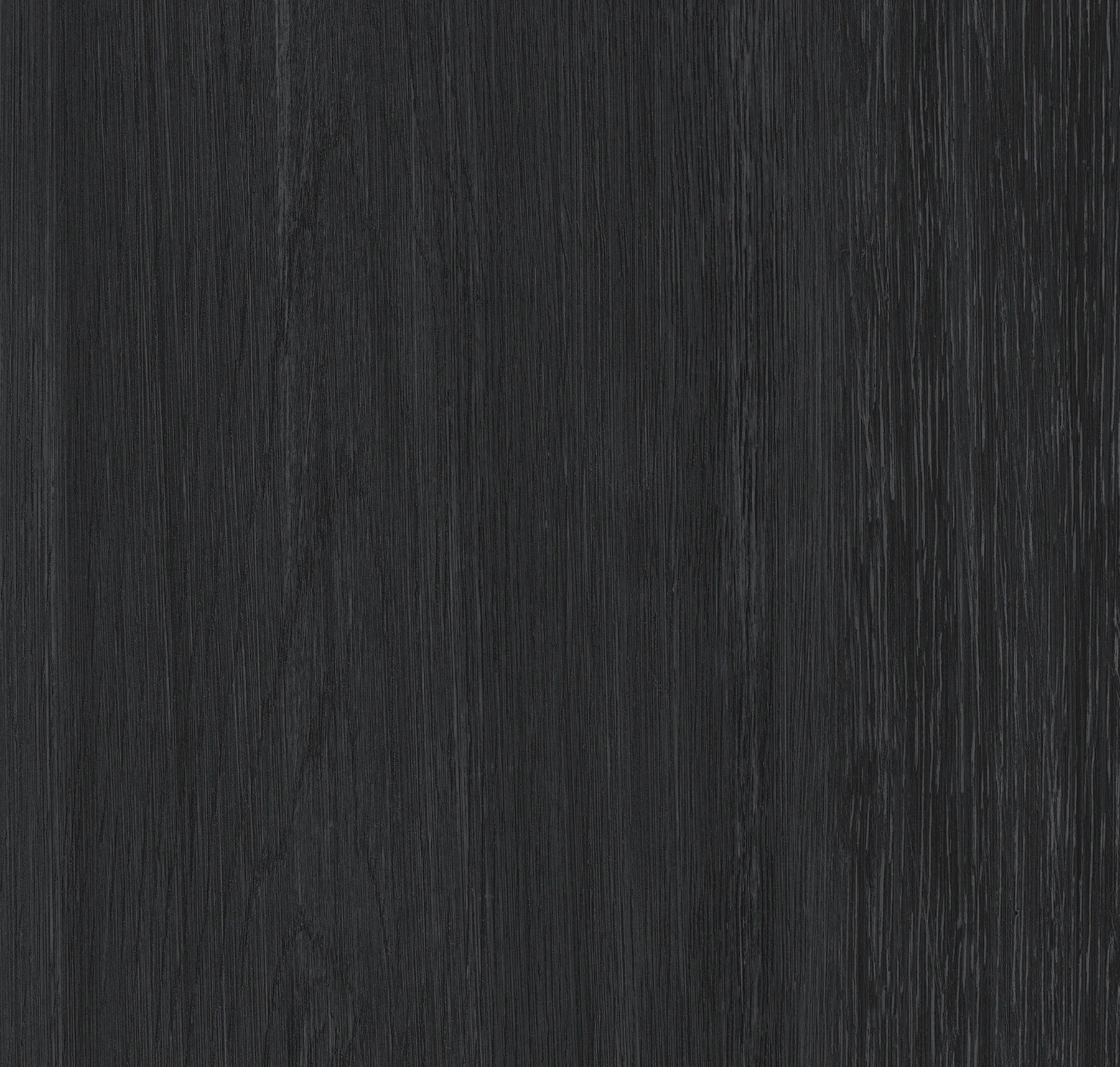 main sample image of Black Black Hills Oak
