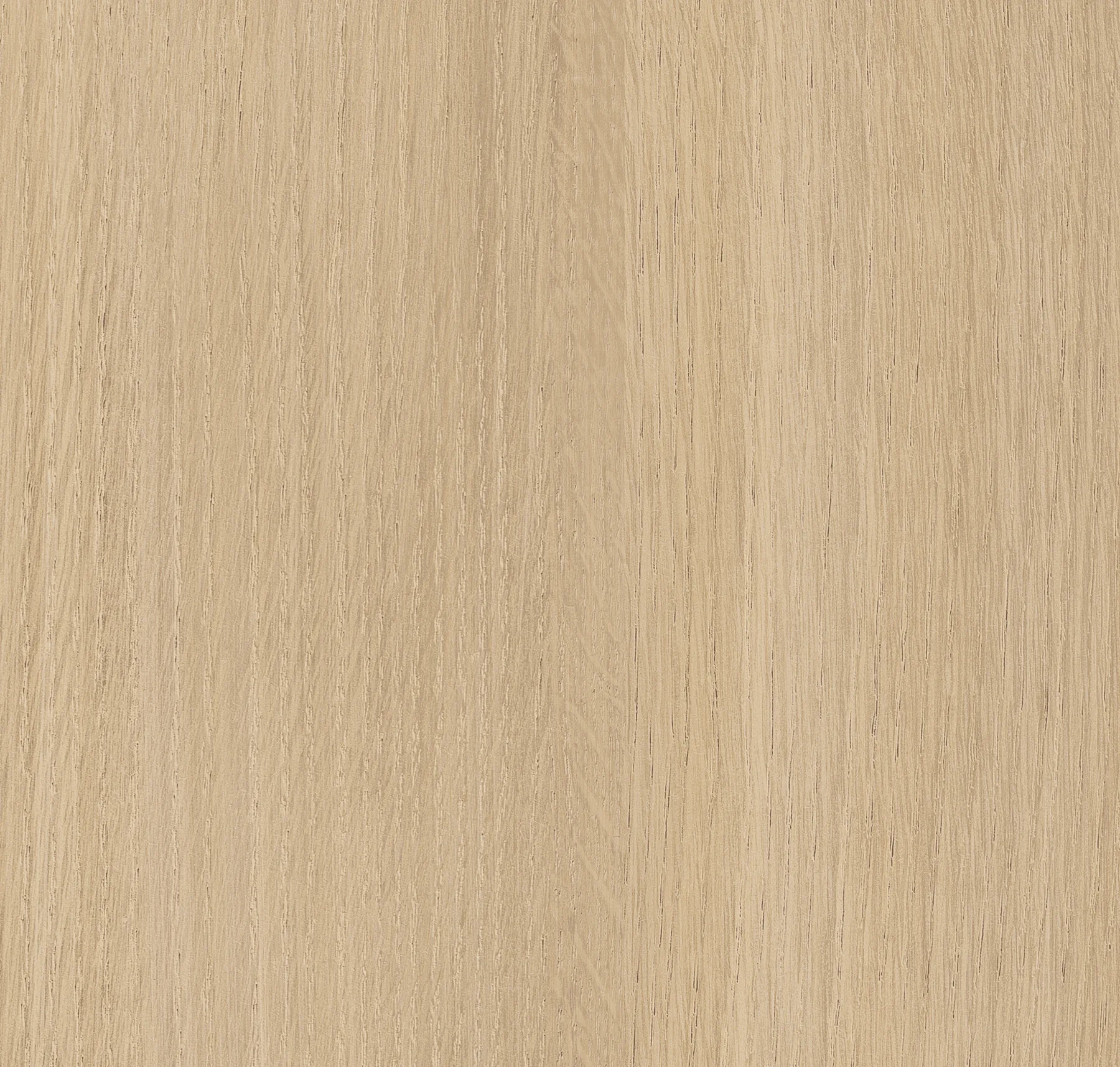 main sample image of Yellow/Gold Coronado Oak