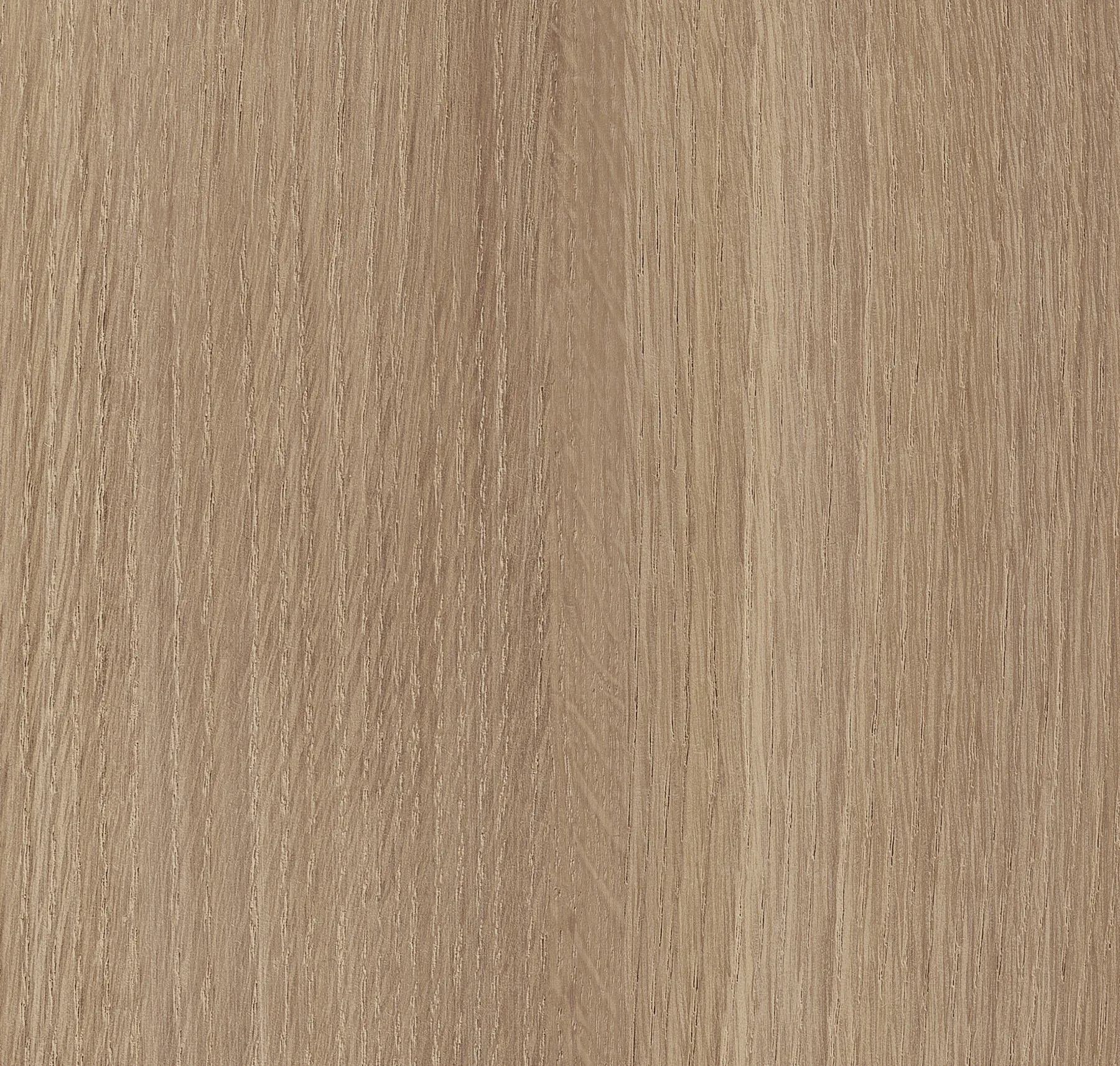 main sample image of Brown De Soto Oak