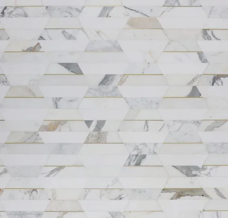 main sample image of Calacatta Margo Hexagon Marble and Brass Mosaic Tile