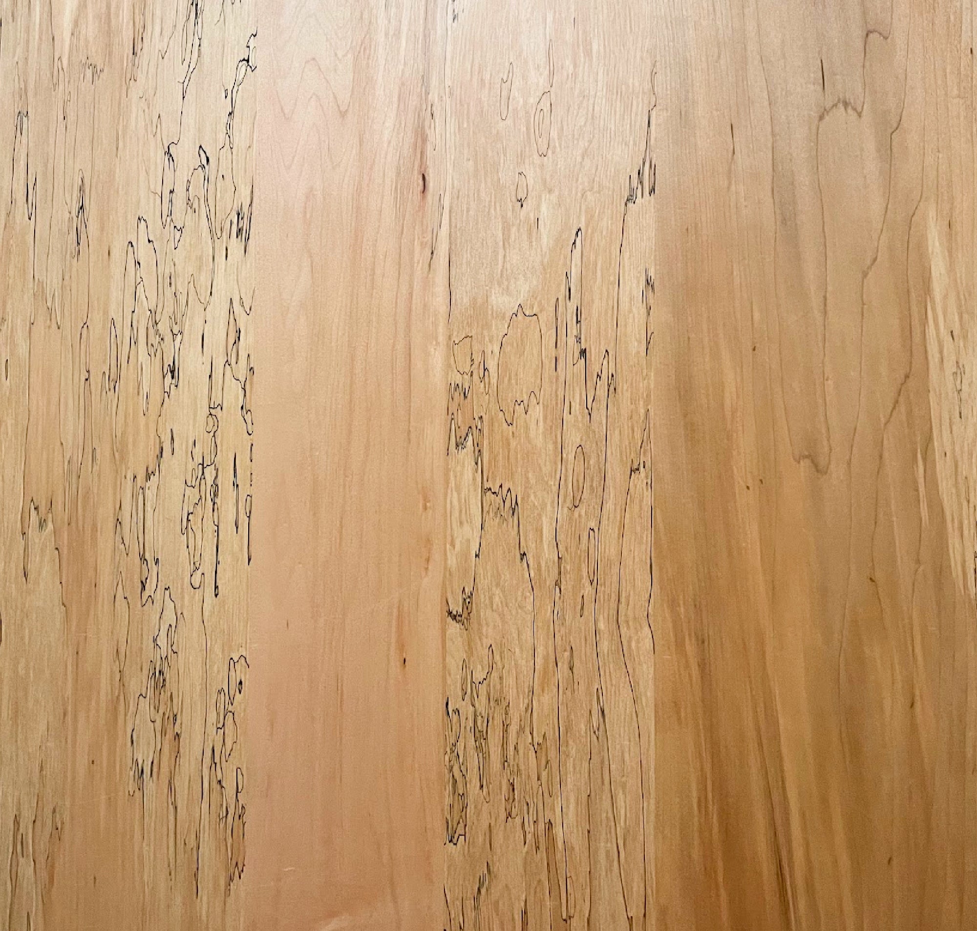 Finished Spalted Maple Plywood | DesignShop
