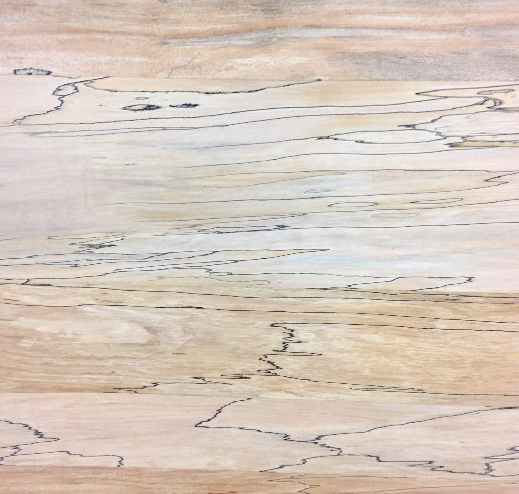 main sample image of Beige Unfinished Spalted Maple Plywood
