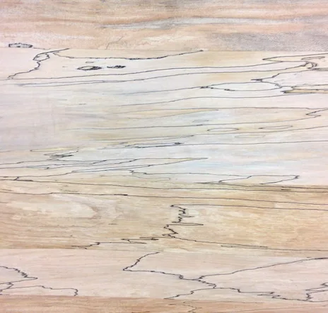 main sample image of Beige Unfinished Spalted Maple Plywood