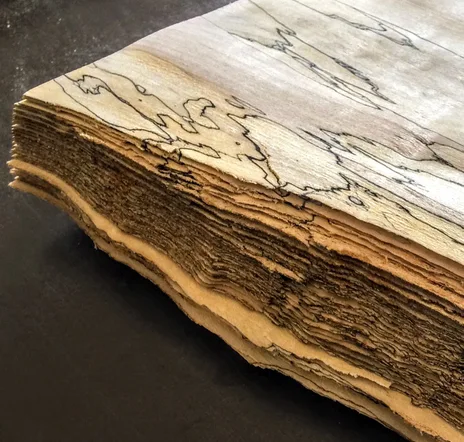 main sample image of Brown Spalted Maple Veneer