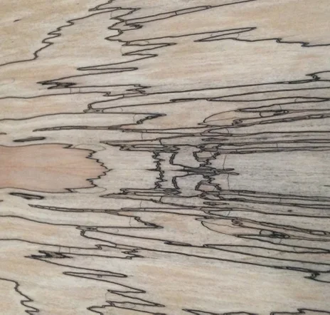 main sample image of Gray Spalted Maple Paper Backed Veneer