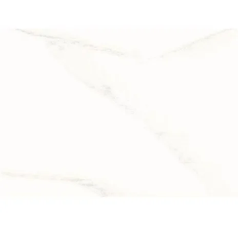 main sample image of White Calacatta Perlato