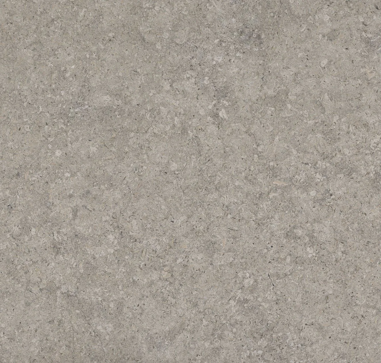 main sample image of Taupe Dekton VK03 Grigio