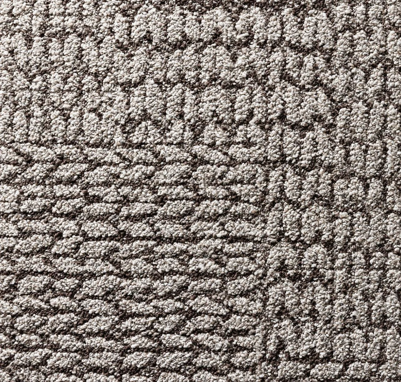 main sample image of Loam Middle Of The Road