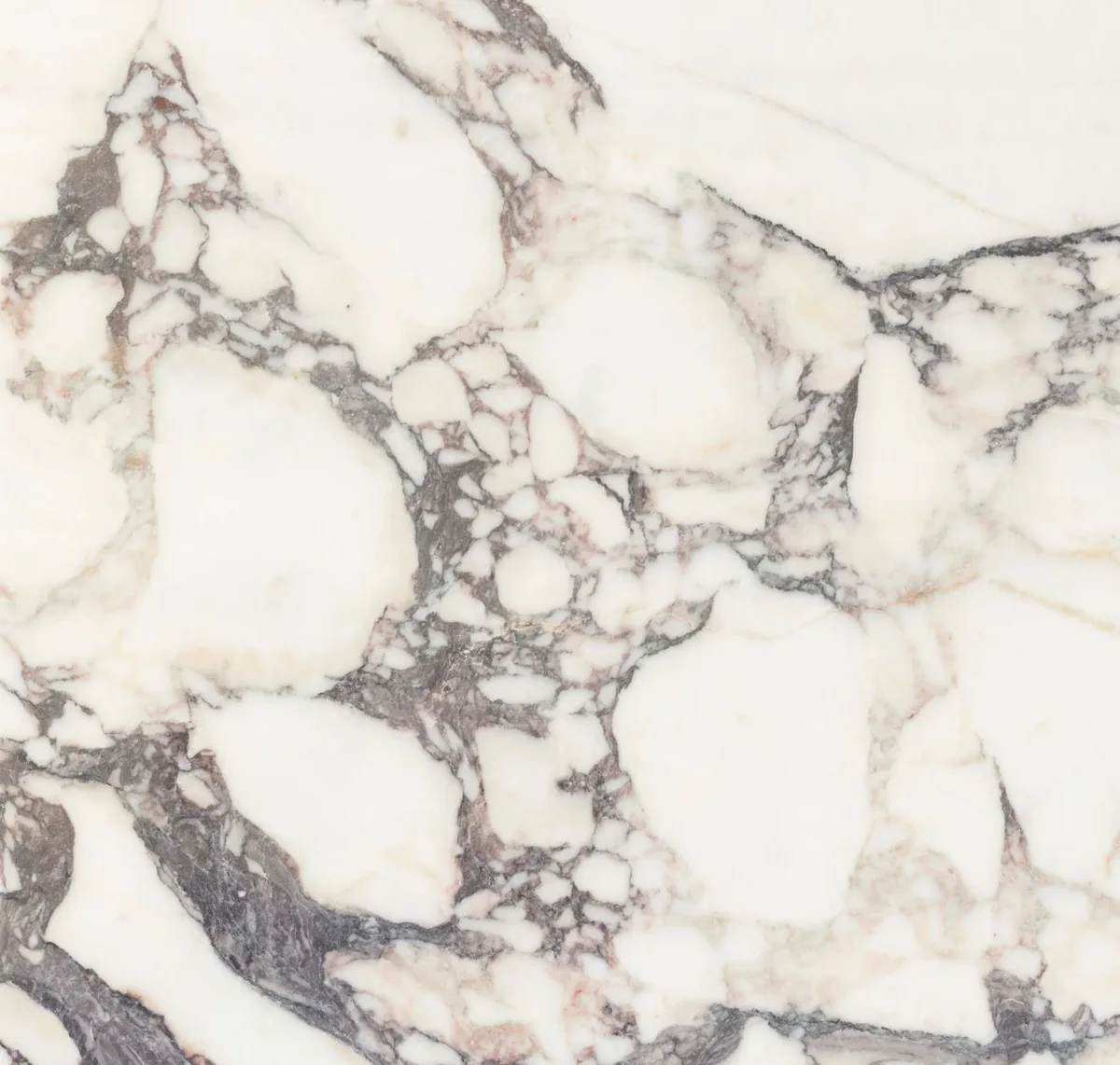 Breccia Capraia Marble Polished