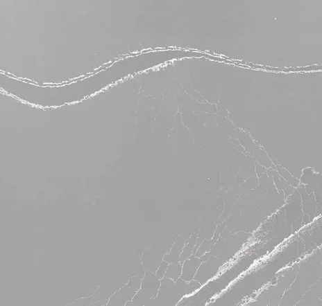 main sample image of Gray Queen Anne