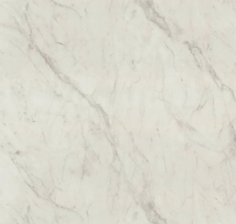 main sample image of White Calacatta Cava