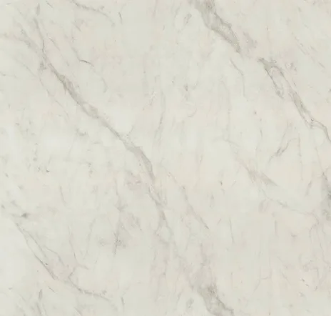 main sample image of White Calacatta Cava