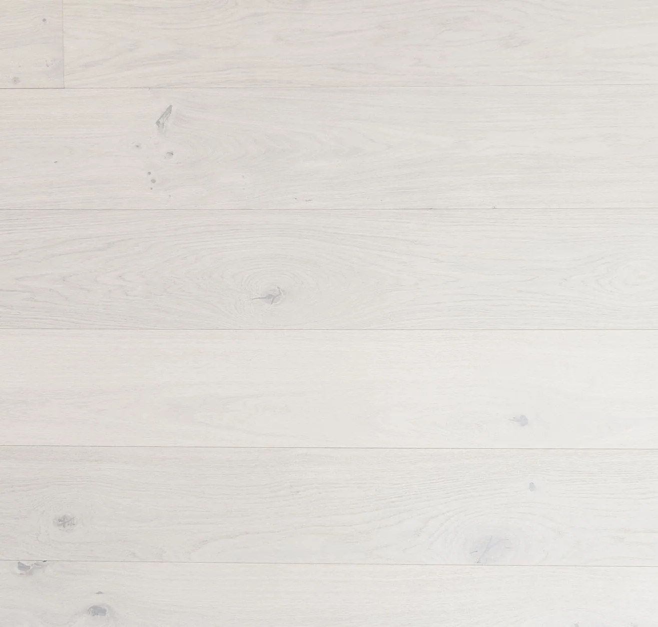 main sample image of Pisa Oak Pisa