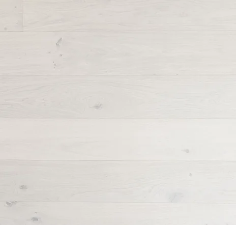 main sample image of Pisa Oak Pisa